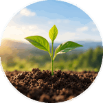41.7% reduction in carbon emissions
