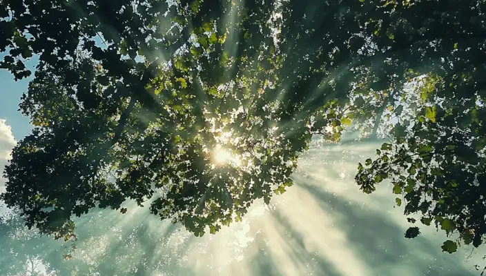 Shoutdigital Rays Of Sun Breaking Through Clouds With A Perso 82881094 6Be2 42B3 Bd2d 1Ebfa17405bb 3