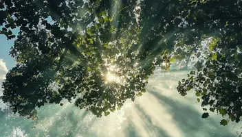 Shoutdigital Rays Of Sun Breaking Through Clouds With A Perso 82881094 6Be2 42B3 Bd2d 1Ebfa17405bb 3